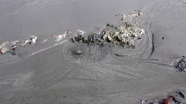 Artesian spring delivers fresh drinking water on the beach at low tide on Alaska sandy beach