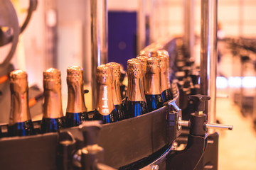 View of glass bottles on the conveyor belt, bottle necks on the production line, brewery equipment, inside wine factory, process of alcohol liquor manufacture production