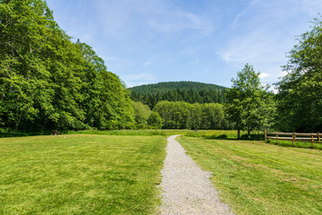 easy hiking trail in the park near Killarney Lake Bowen island british columbia.