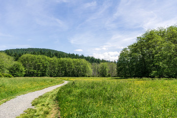 easy hiking trail in the park near Killarney Lake Bowen island british columbia.