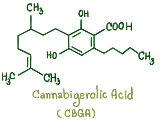 Cannabigerol (CBG) is one of more than 120 identified cannabinoid compounds found in the plant genus Cannabis. Cannabigerol is the non-acidic form of cannabigerolic acid.