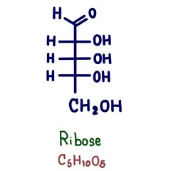 Ribose is a carbohydrate with the formula C5H10O5; specifically, it is a pentose monosaccharide (simple sugar) with linear form H−(C=O)−(CHOH)4−H, which has all the hydroxyl groups on the same side.
