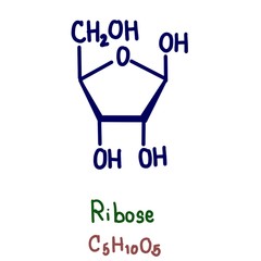 Ribose is a carbohydrate with the formula C5H10O5; specifically, it is a pentose monosaccharide (simple sugar) with linear form H−(C=O)−(CHOH)4−H, which has all the hydroxyl groups on the same side.