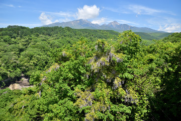 山梨県北杜市 清里高原 八ヶ岳高原大橋から見る八ヶ岳連峰