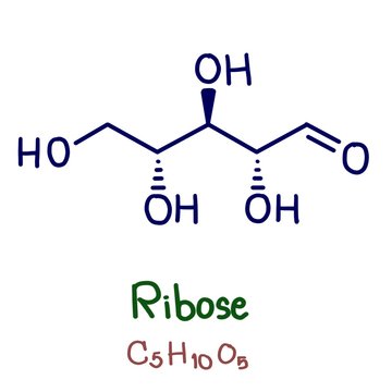 Ribose is a carbohydrate with the formula C5H10O5; specifically, it is a pentose monosaccharide (simple sugar) with linear form H&minus;(C=O)&minus;(CHOH)4&minus;H, which has all the hydroxyl groups on the same side.
