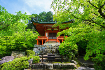 京都　醍醐寺　弁天堂　新緑