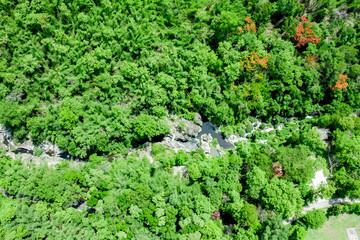 Naklejka premium The aerial image of a high angle image in a national park sees green trees covered throughout the area in the middle, with rocks and streams.
