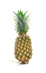 single whole pineapple isolated on white background
