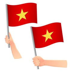 Vietnam flag in hand icon