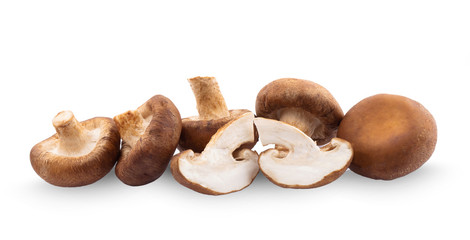 Shiitake mushroom on the White background