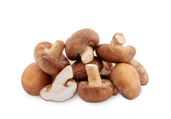Shiitake mushroom on the White background