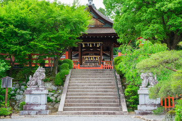 Fototapeta premium 京都 建勲神社（けんくんじんじゃ）の拝殿 新緑 