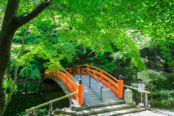 京都　北野天満宮　もみじ苑の鶯橋　新緑
