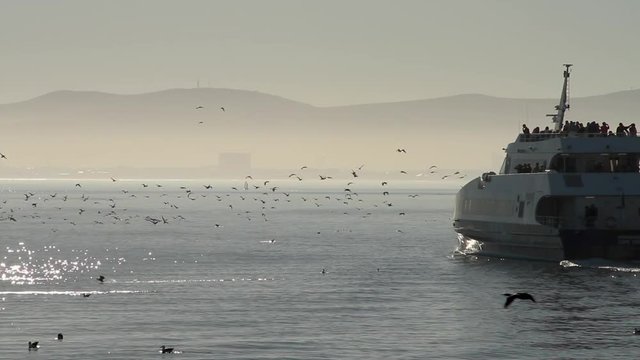 Catamaran leaving the harbour of Cape Town for Robben Island