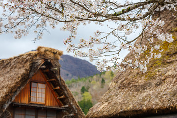 Japanese tradditional house in a village during Hanami festival - 272915191