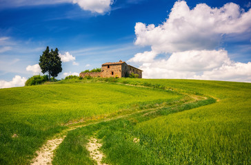 Fototapeta na wymiar Tuscany landscape at spring , Italy