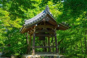 京都　常寂光寺の新緑