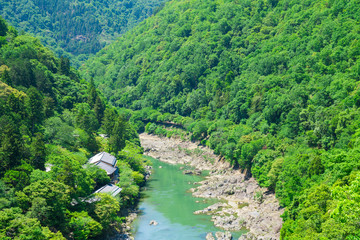 京都　保津峡の新緑