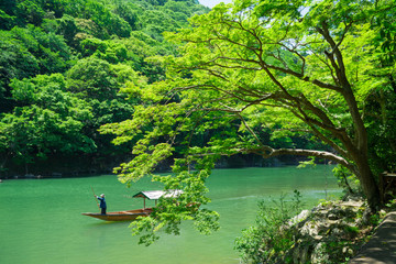 Fototapeta premium Kioto świeża zieleń Arashiyama