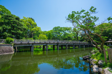 Fototapeta na wymiar 京都御苑の九條池と高倉橋　新緑　　