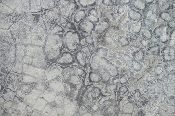 Cracks on the cement floor