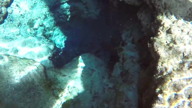 Underwater shot of natural florida spring with shadow of paddleboarder