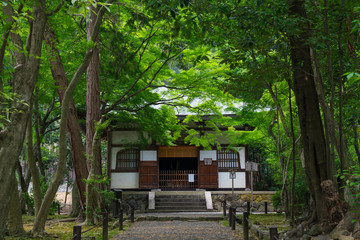 京都　地蔵院（竹の寺）の本堂と新緑