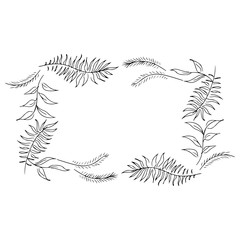 Vector hand drawn sketch with tropical leaves and flowers isolated on white background. Exotic botanical floral frame for wedding invitation cards, cosmetics, spa, perfume, beauty salon. Line art