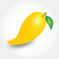 Mango fruit vector, web icon, sign, Design elements for business