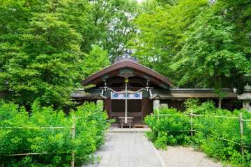 京都　梨木神社　新緑　