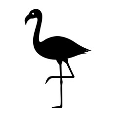Flamingo bird flat vector icon for wildlife apps and websites