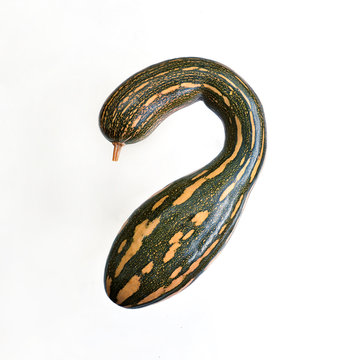 Calabaza larga