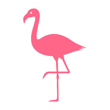 Pink flamingo bird flat vector color icon for wildlife apps and websites