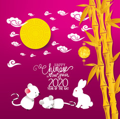 Happy Chinese New Year 2020 year of the rat. Chinese card design with bamboo background. Chinese characters mean Happy New Year