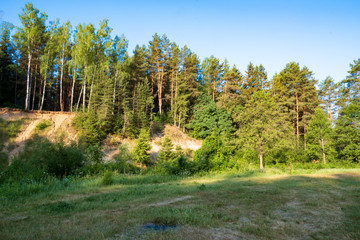 Obraz premium Photography in the evening hour of nature in the summer on a sunny day. Beautiful dawn time.
