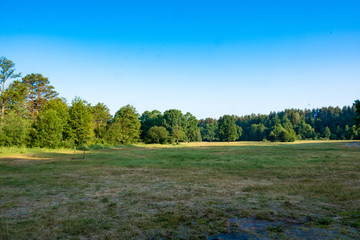 Photography in the evening hour of nature in the summer on a sunny day. Beautiful dawn time.