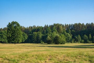 Fototapeta premium Photography in the evening hour of nature in the summer on a sunny day. Beautiful dawn time.