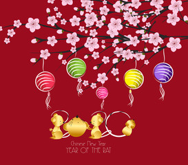 traditional chinese new year. Blossom and lantern background. Year of the rat