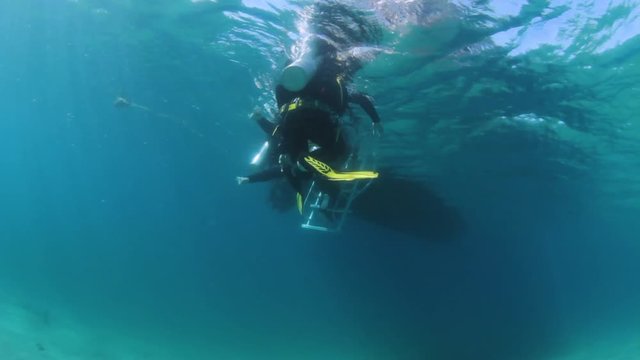Scuba divers swimming to a boat to climb a ladder