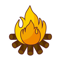 wood campfire flame isolated icon