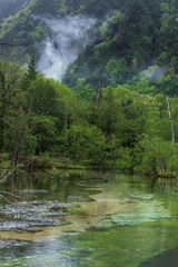 上高地岳沢湿原