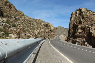 Road in the Altai mountains