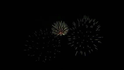 festive fireworks in the night sky