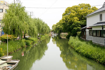 Obraz premium 柳川川下り