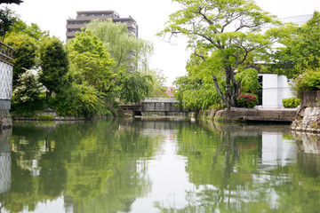 Obraz premium 柳川川下り