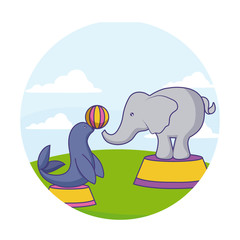 seal with elephant of circus with ball in frame circular