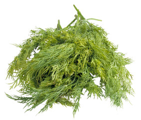 fresh green dill on white background
