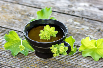 Cup of hot tea from the leaves of fresh alchemilla served on a rustic wooden board against a summery backdrop