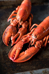 Seafood lobsters. Fresh beautiful large sea lobsters. Delicious lobster on a old table.