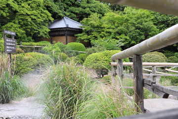 Fototapeta na wymiar 日本の庭②